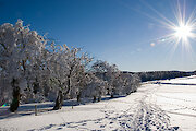 Winter im Bayrischen Wald